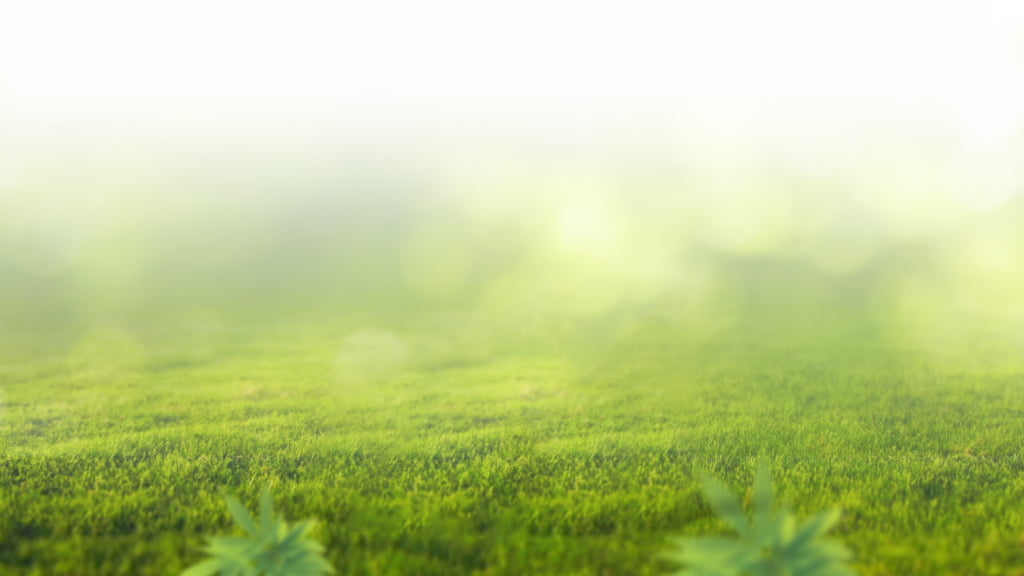 Natural Hemp Life Banner
