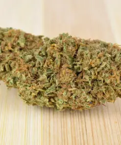 Strawberry Diesel 2025