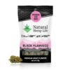 Black Flamingo Front
