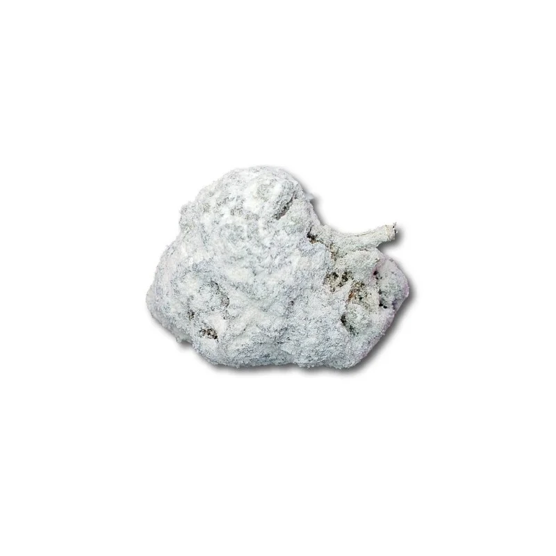 White Ice Moonrock Bud