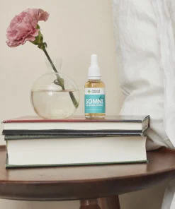 Somni Droppar Sovrum