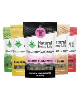 Premium CBD Buds - Provpaket
