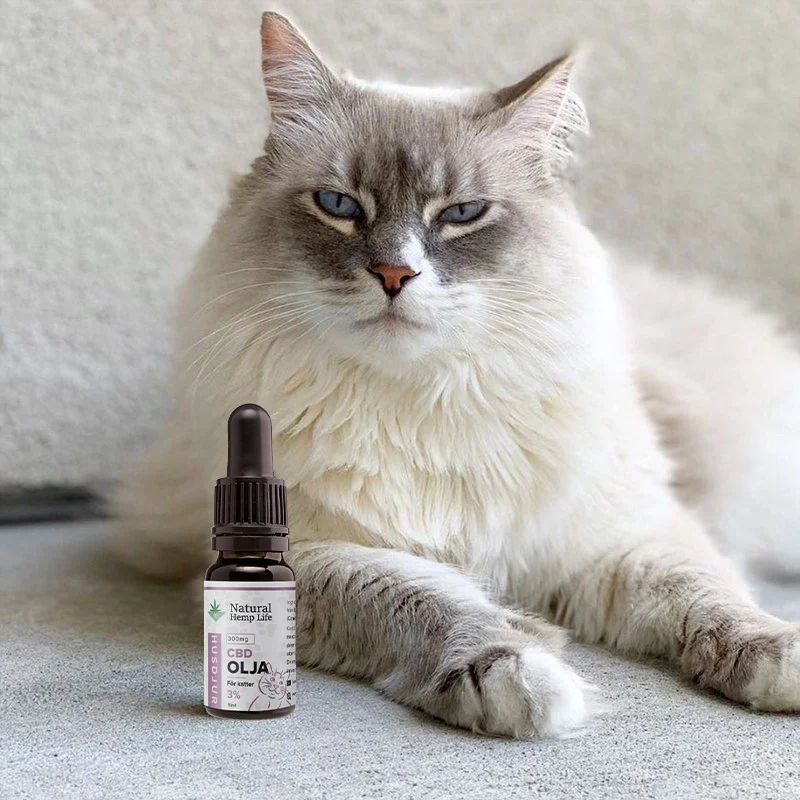 CBD Olja för katter 1