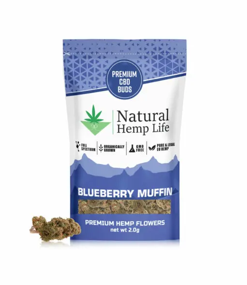 blueberry muffin Front
