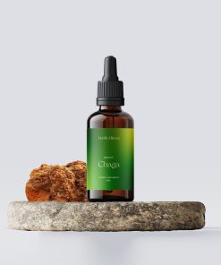 Chaga Tinktur och svamp