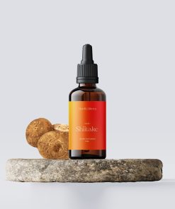 Shiitake Tinktur och svamp