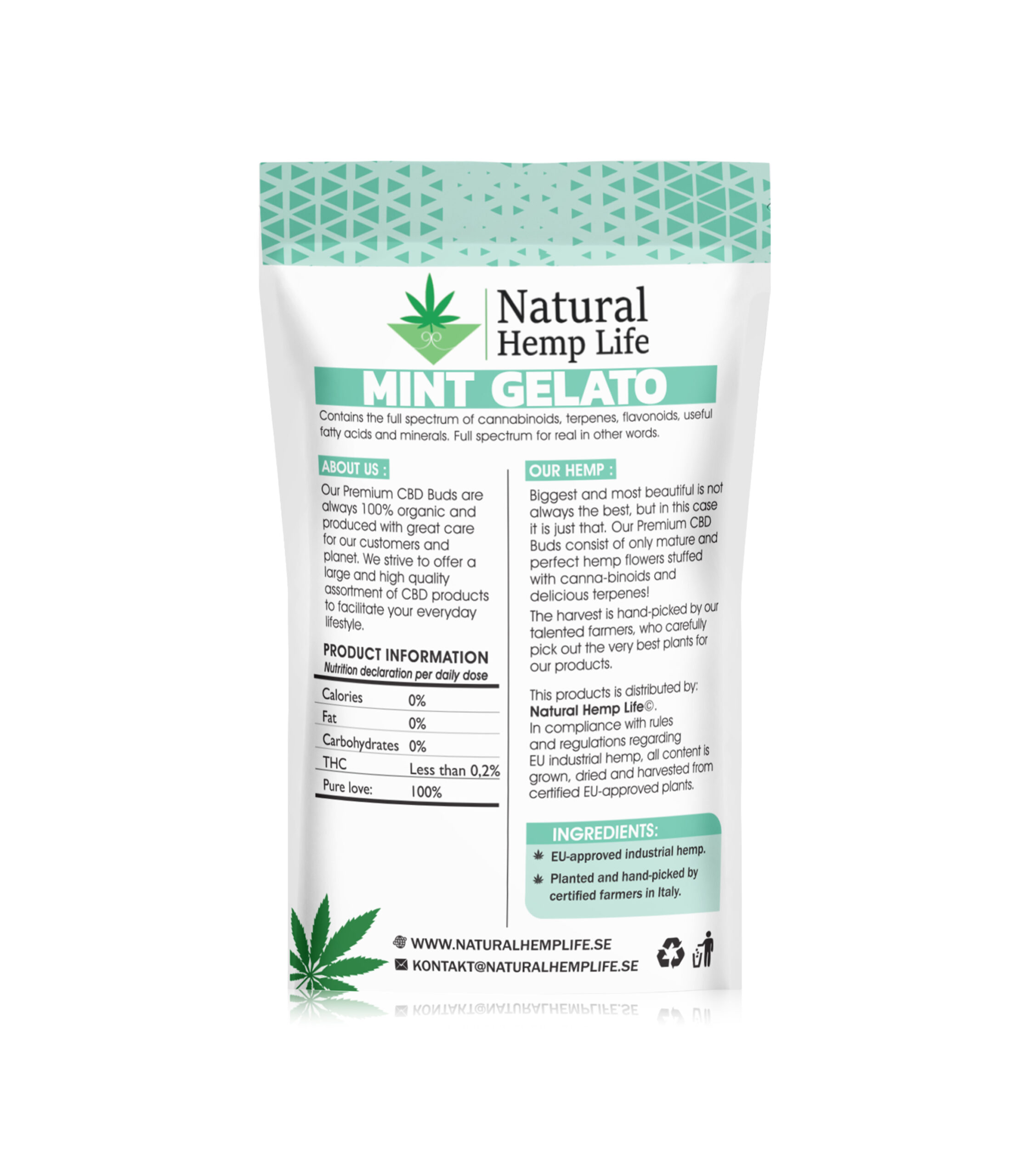 Mint Gelato Back